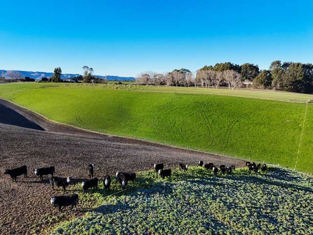 59 Captains Bridge Road Waikoikoi_4