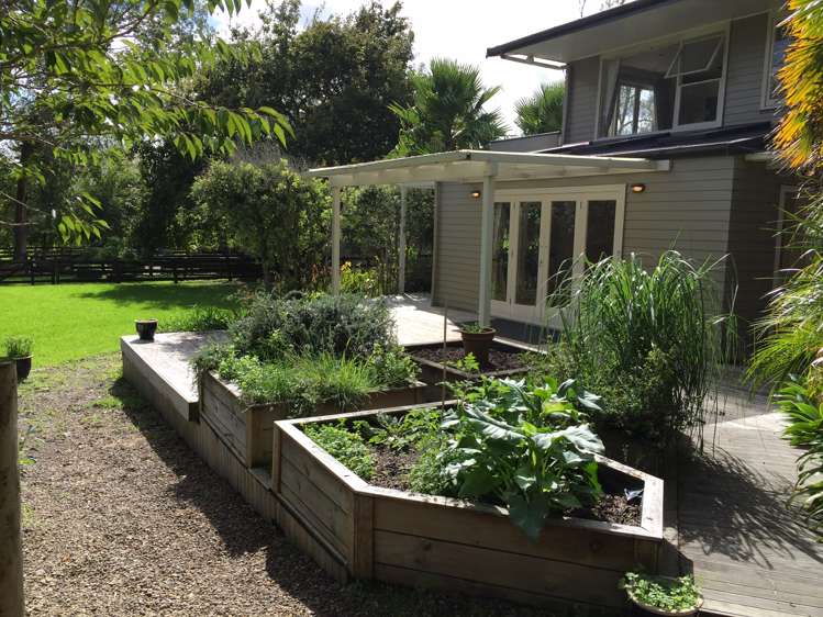 147 Postman Road Dairy Flat_2