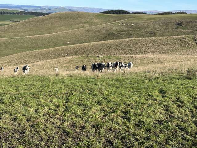 - Peaks Road Windsor_2