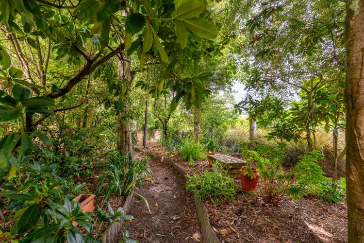 13 Talbot Road Salisbury_12