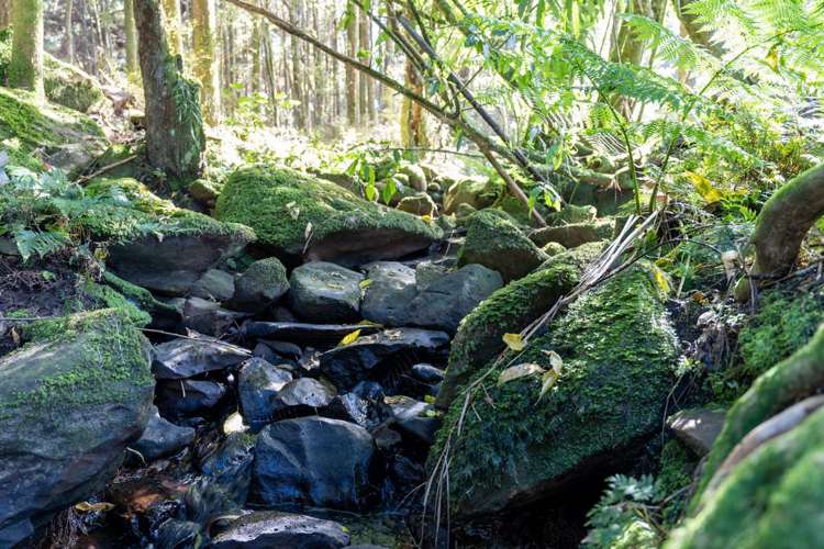 46 Cookson Road Kawakawa_3