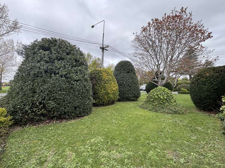 29 Roydvale Ave Burnside_30