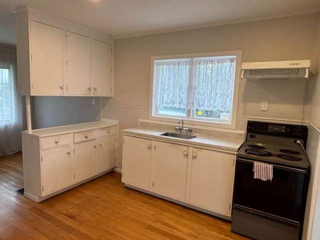 54 Smythe Road Henderson_1