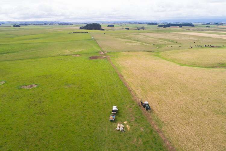 63b Sligo Terrace Roslyn_6