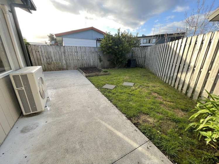 183b Massey Street Frankton_23