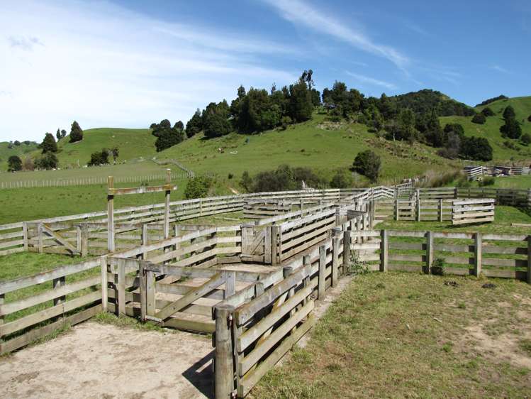 147 Terrace Road Mangaweka_13