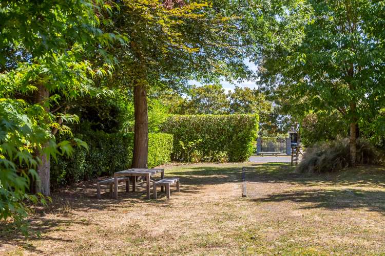 3 Mole Street Greytown_7