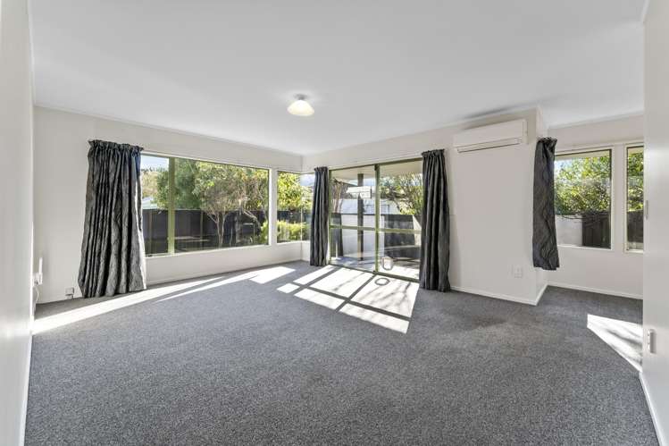 2/204 Kawai Street Nelson South_5