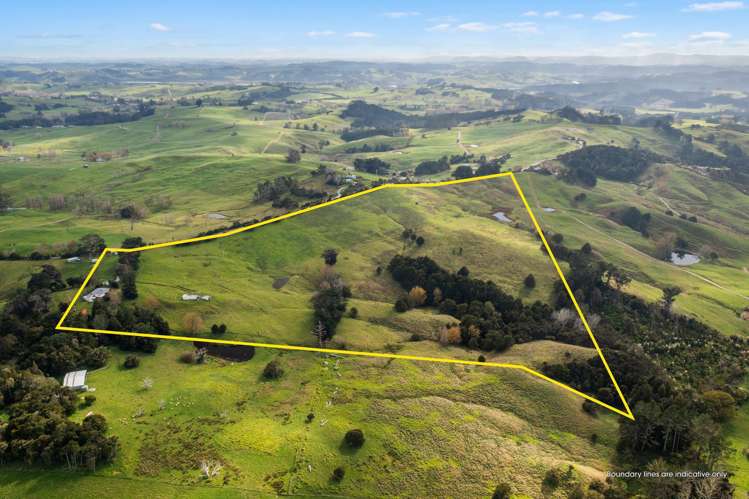 70 Biddle Road Wellsford_8