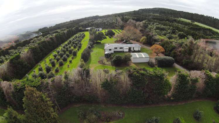 70 Norris Road Maungatapere_13