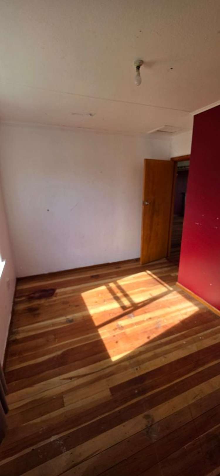 28 Elizabeth Street Levin_5