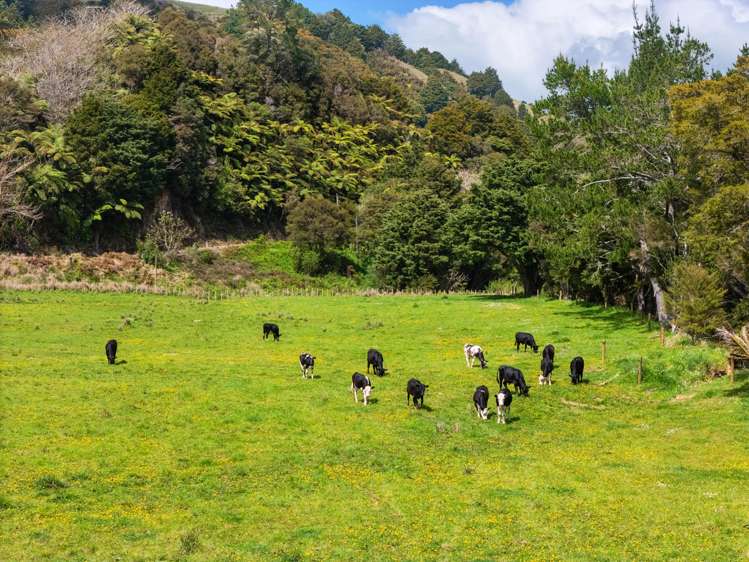 801 Russell Road Whakapara_6