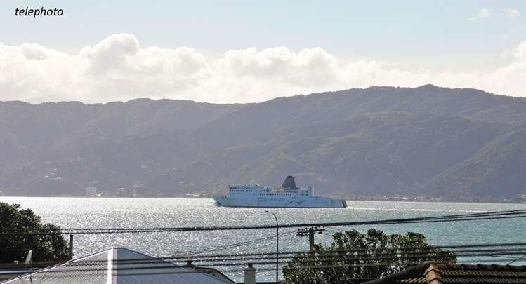 1/38 Ferry Street Seatoun_13