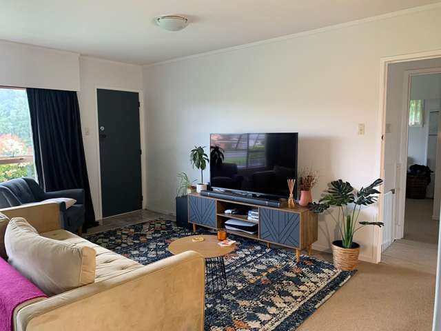 144C Edinburgh Street Pukekohe_2