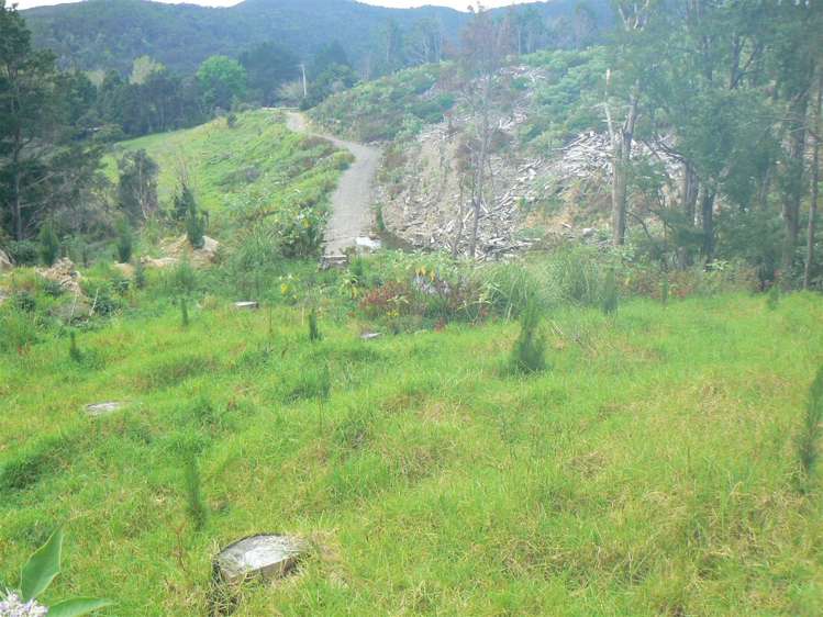 Taheke Road Horeke_10