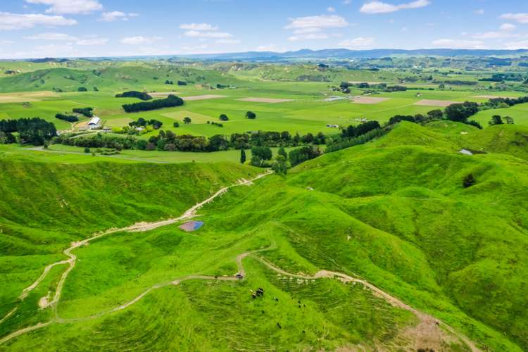 Thompsons Road Pahiatua_8