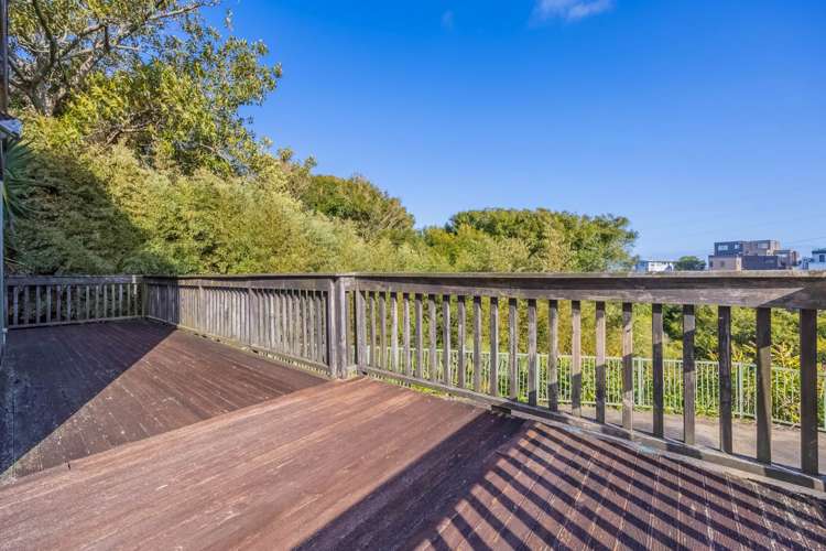 61a Goodall Street Hillsborough_20