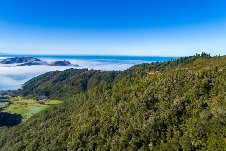 2464 Port Underwood Road Port Underwood_6