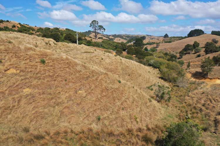1017 Waingaro Road Glen Massey_10