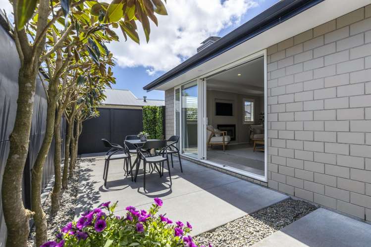 175A Carrington Street Lower Vogeltown_4