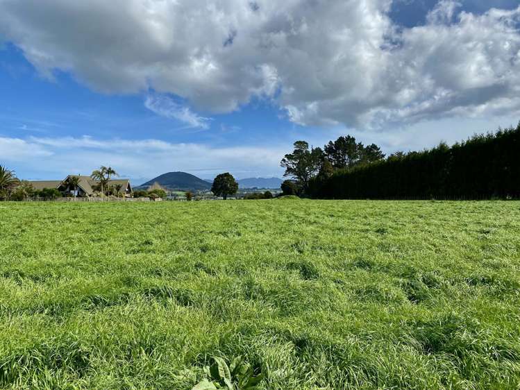 Lot 7 Stevens Way Maungatapere_16