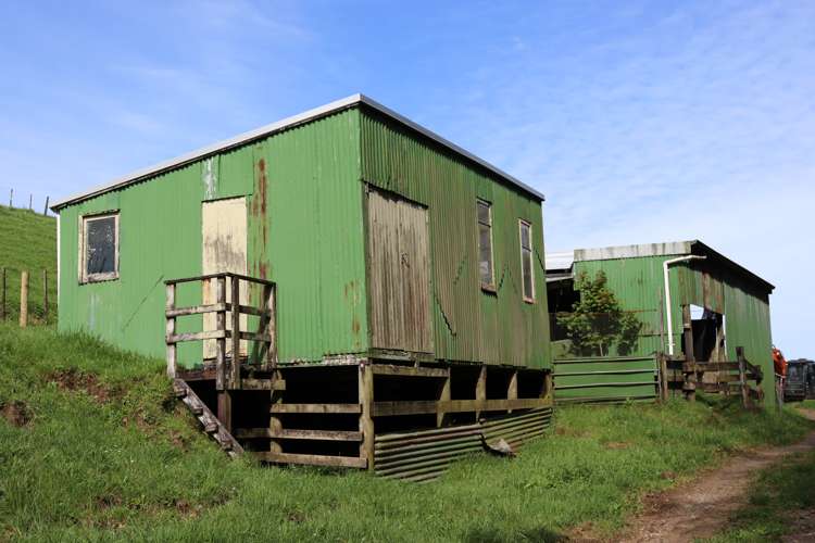 Lt2/310 Henwood Road Bell Block_14