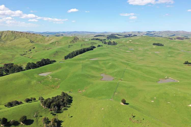 275 Akaroa Road Pongaroa_15