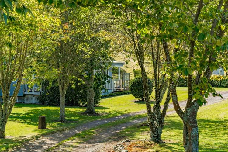 302 Whangamata Road Kinloch_23