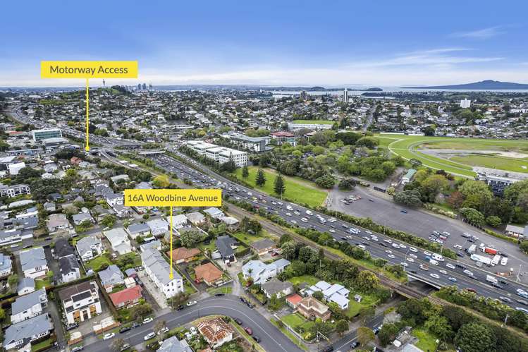 16a Woodbine Avenue Greenlane_26