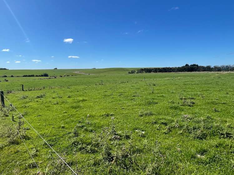 102 Lowe Road Seaward Downs_7