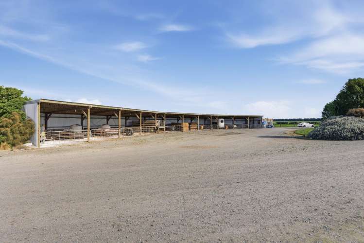 803 Ardlui Road Te Pirita_16