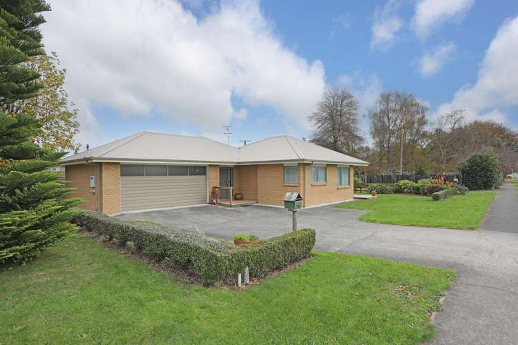 17 Johnson Street Bulls_9