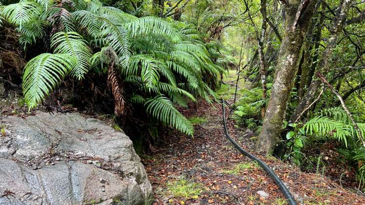 Whiskey Creek, State Highway 6 Charleston_13