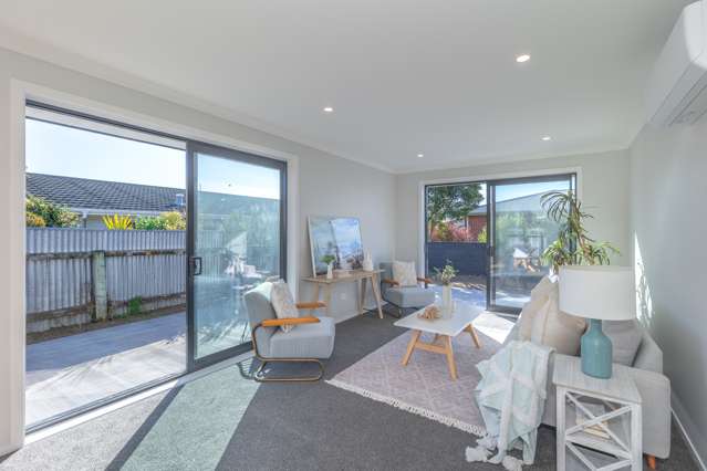 83A Winchester Street Levin_3