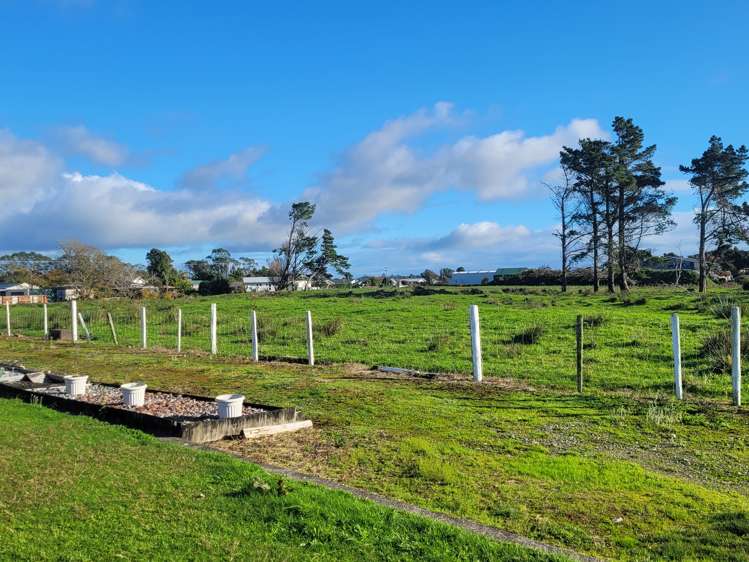 111a Brougham Street Westport_24