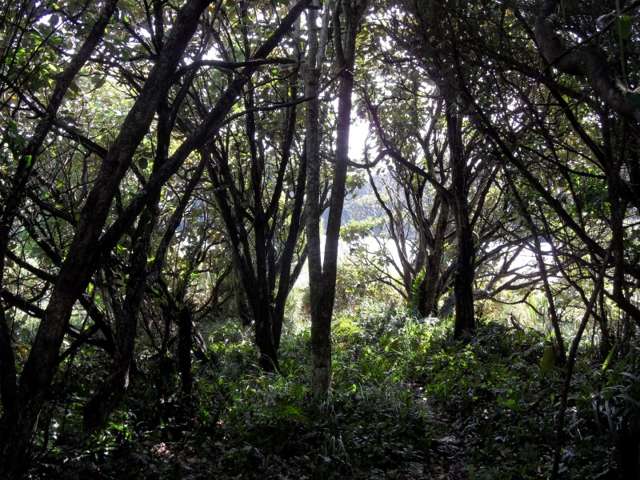 42 Deep Bay Road Stewart Island/Rakiura_3