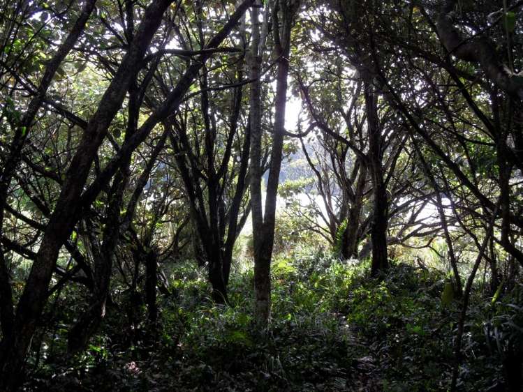 42 Deep Bay Road Stewart Island/Rakiura_3