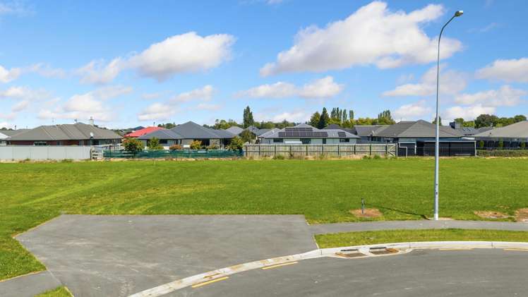 Carlisle Estate Tinwald_16