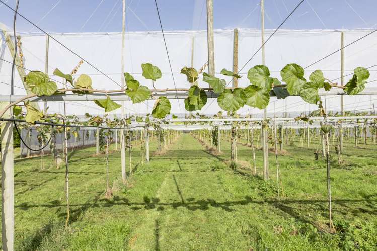 71 Franklin Road Central Hawkes Bay Coastal_5