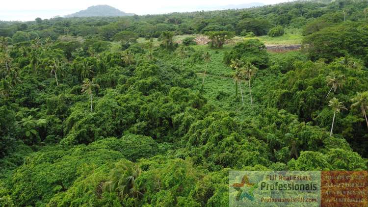 Address withheld Taveuni_17