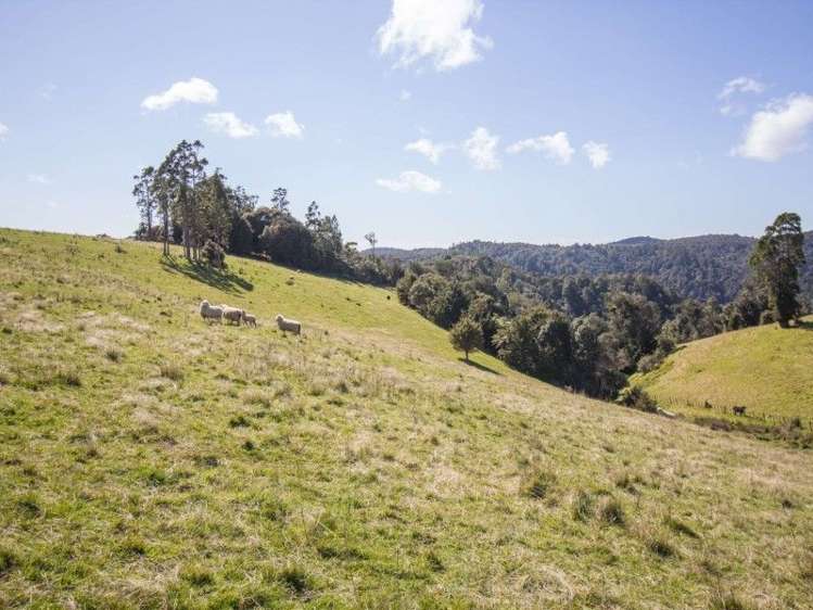 884 Kaiikanui Road Hukerenui and Surrounds_16