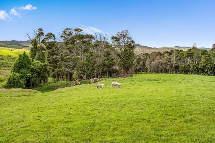 1638 State Hwy 12 Paparoa_31