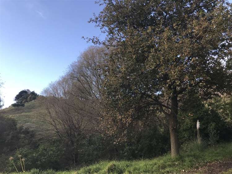 234a Durham Drive Havelock North_5