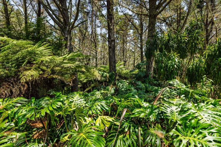 2884A State Highway 10 Mangonui_43