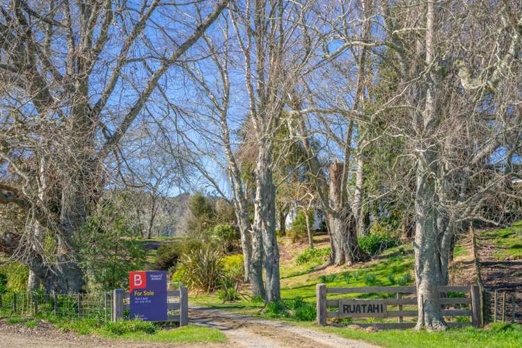 232 Kotare Road Ruakituri_21