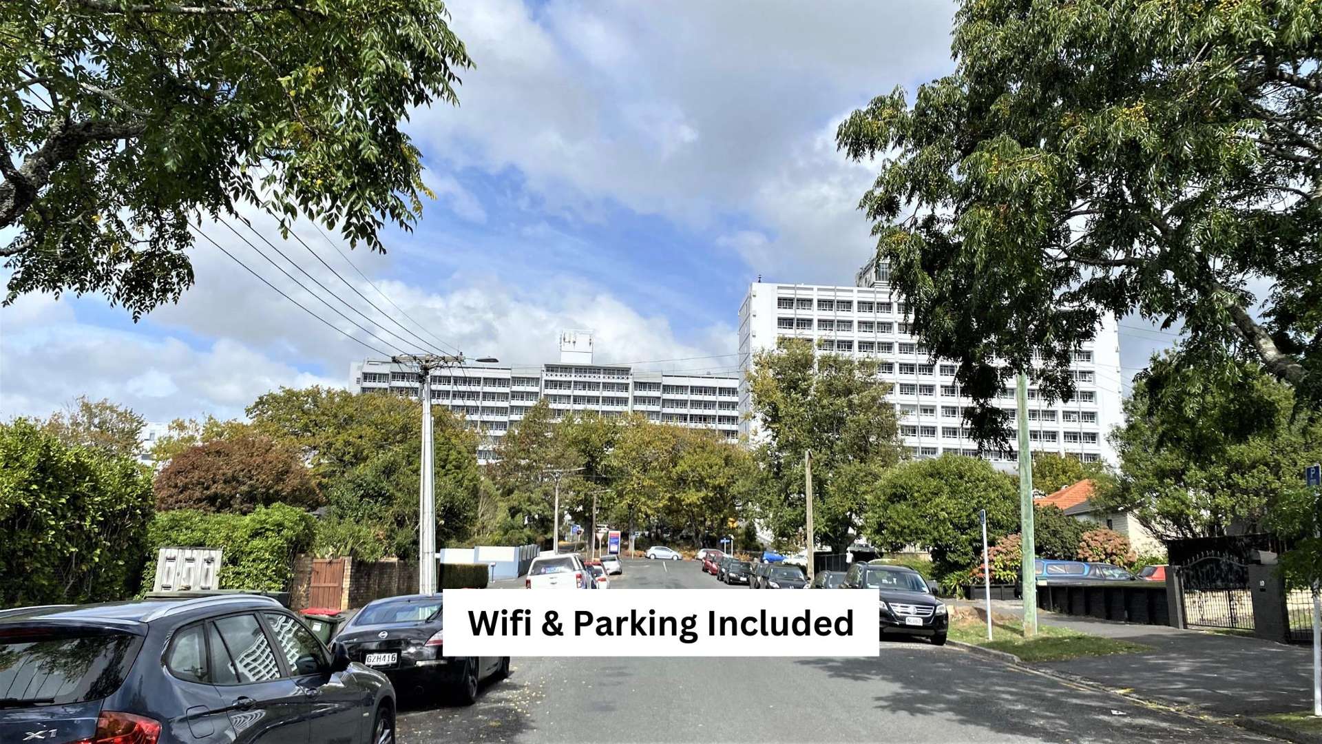 11D Horne Street Hamilton Central_0