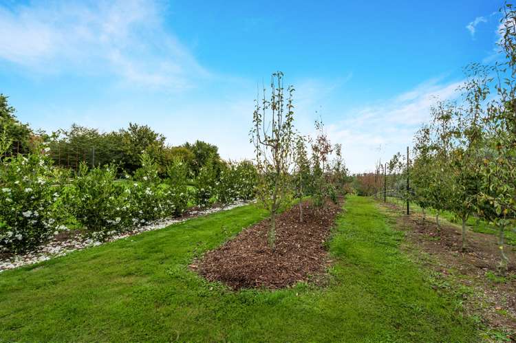 7 Windleborn Road Ngahinapouri_18