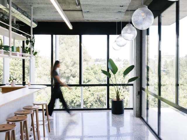 Level 3B, 401 Grey Street Hamilton East_3