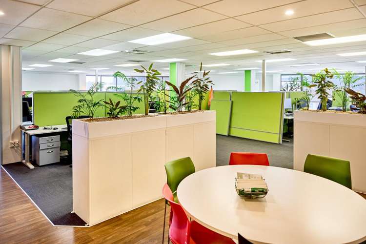 240 Gracefield Road Seaview_11