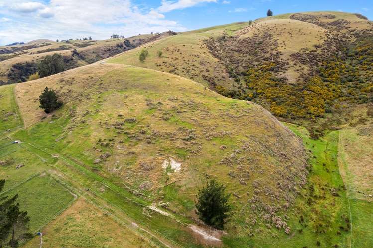 749 East Taieri-Allanton Road Allanton_21